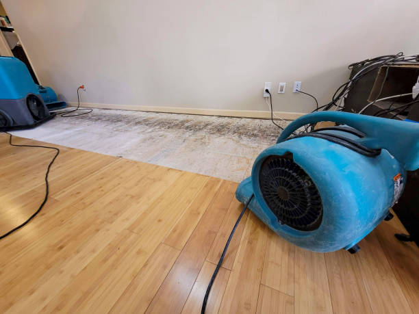 Professional Emergency Water Damage technician working in Kents Hill, ME